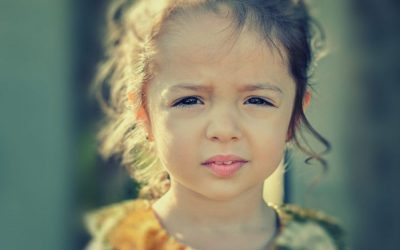 Custodia y alternativas