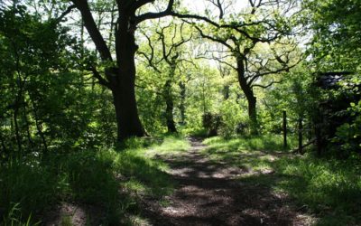 Síndrome de burnout