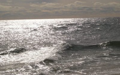 «No tengo ganas de nada»