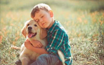 TDAH y terapia con animales